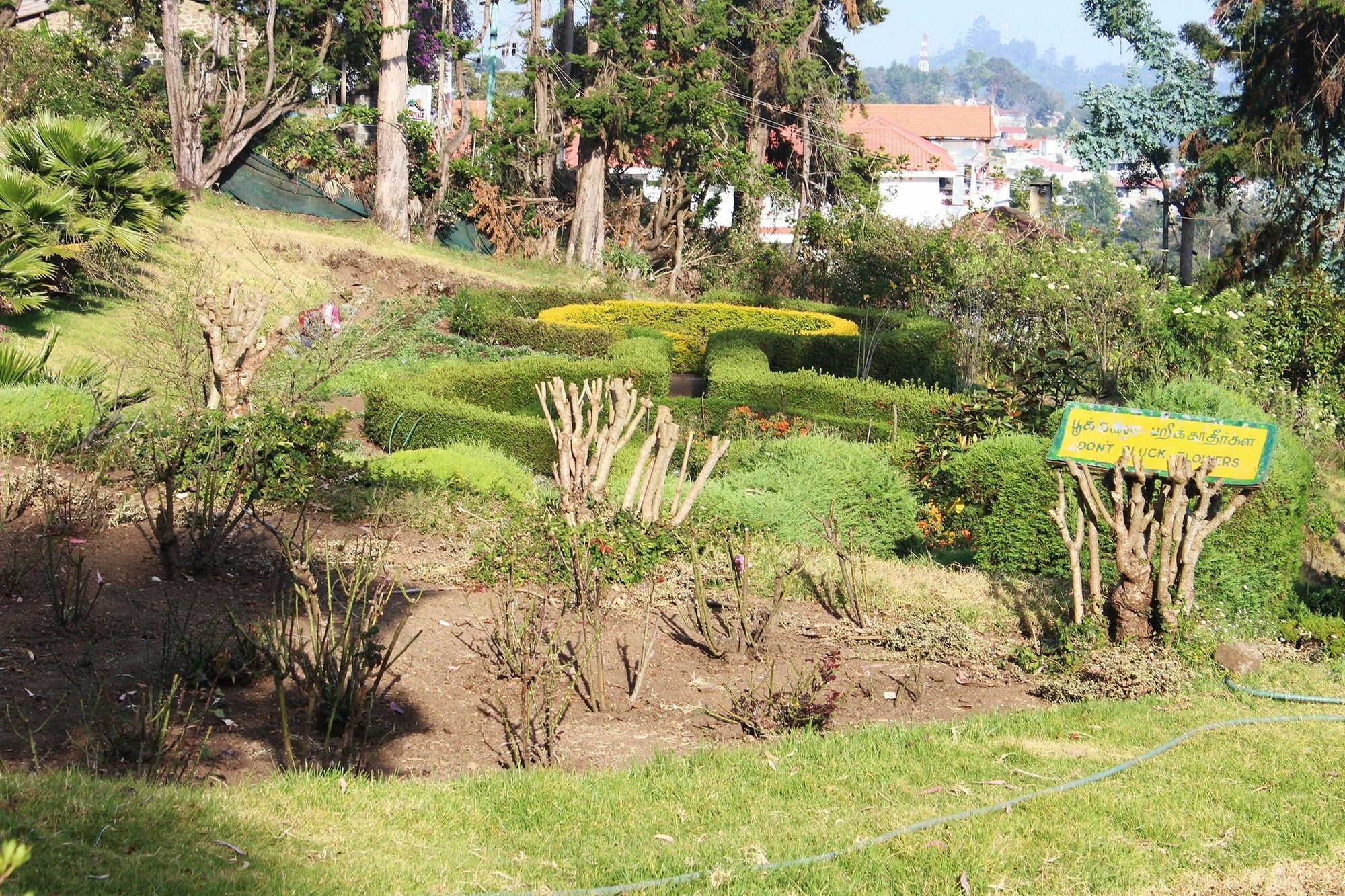 Alegria Tamilnadu - Kodaikanal Exterior foto